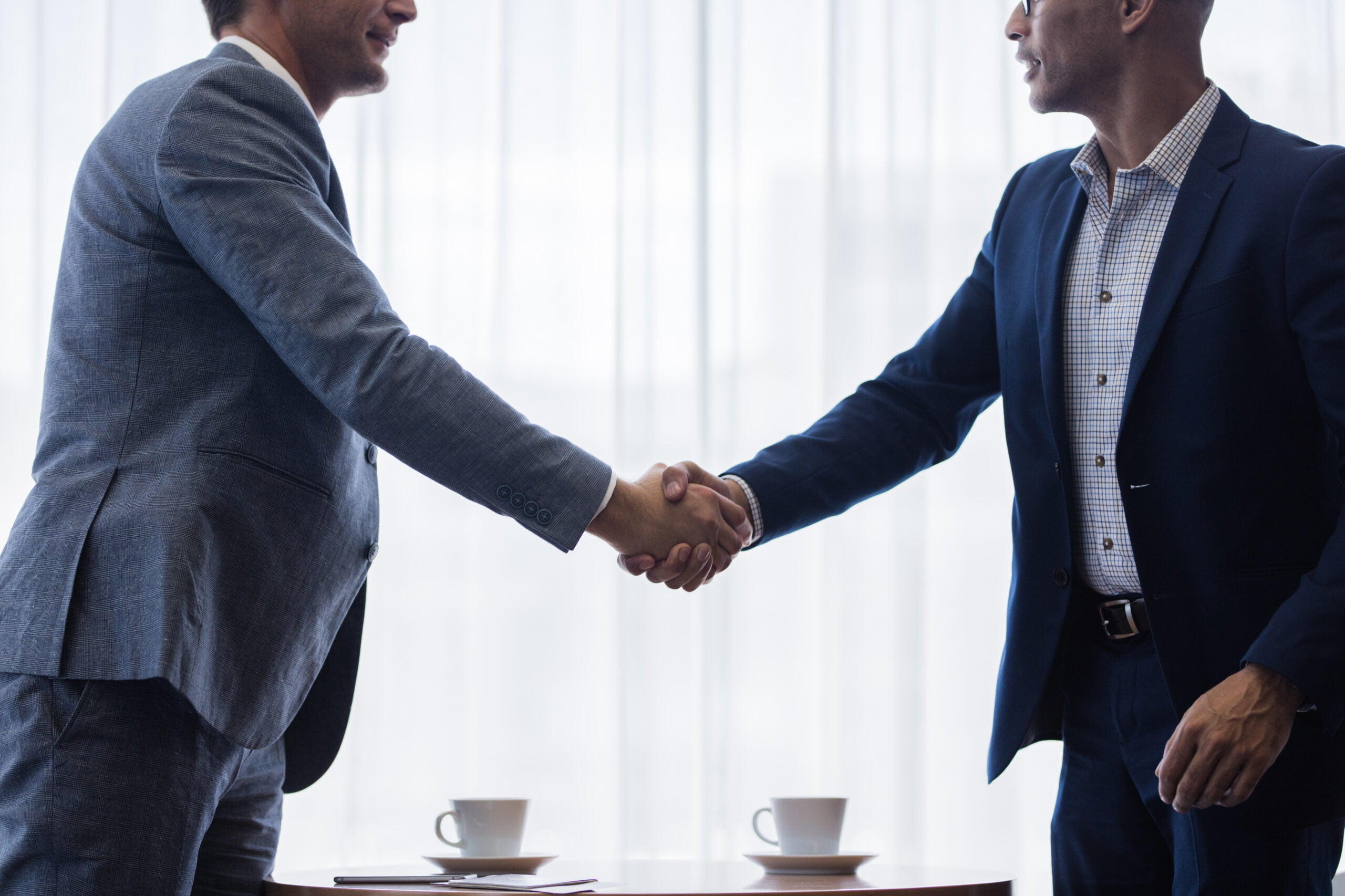 Two men in suits, stood up and shaking hands.